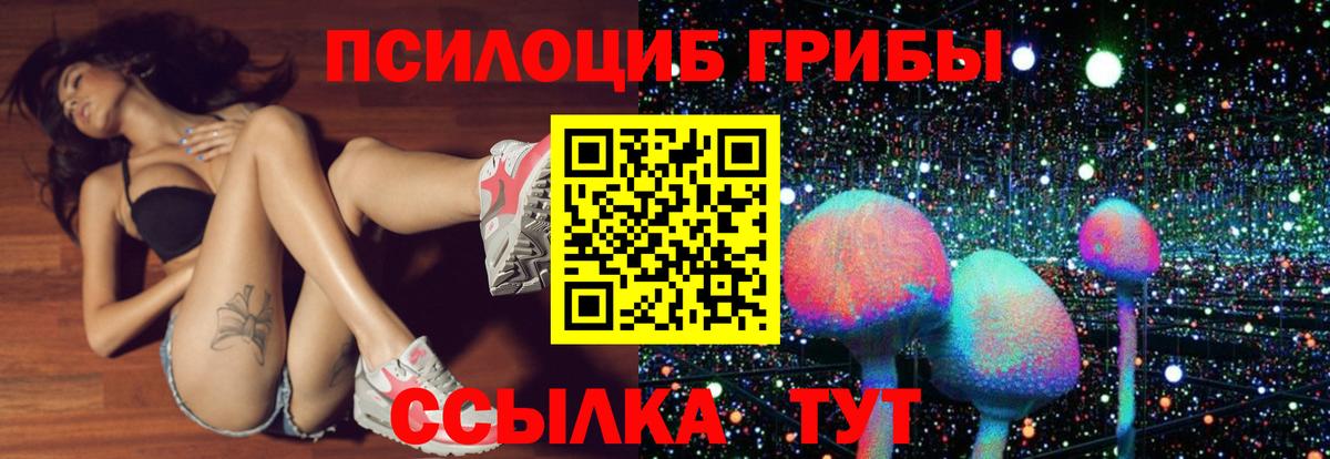 Псилоцибиновые грибы MAGIC MUSHROOMS  Псилоцибиновые грибы MAGIC MUSHROOMS  Вход с VPN  Татарск 