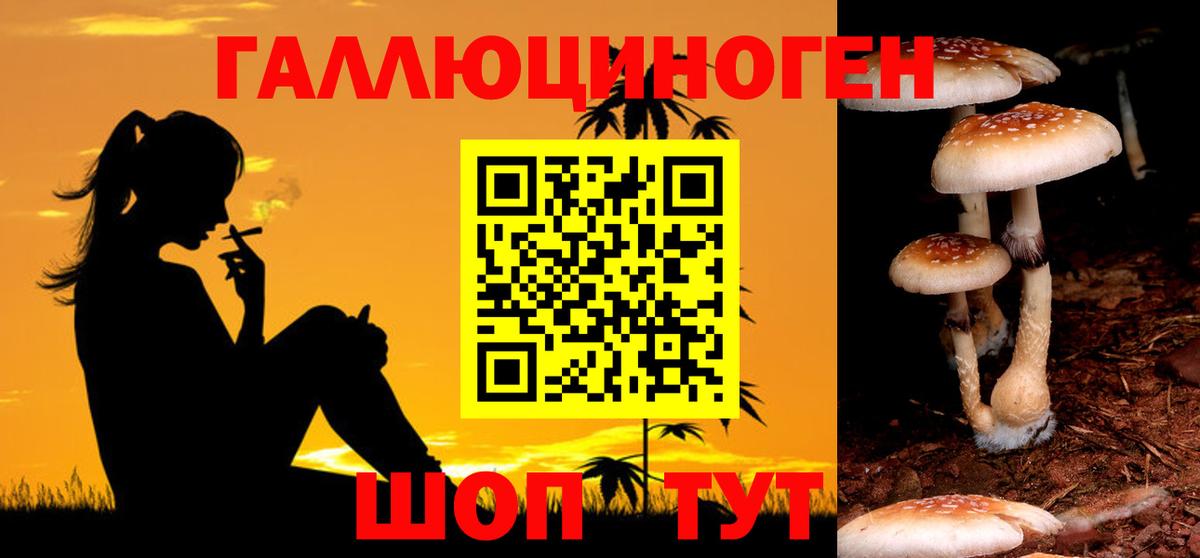 Галлюциногенные грибы GOLDEN TEACHER Татарск
